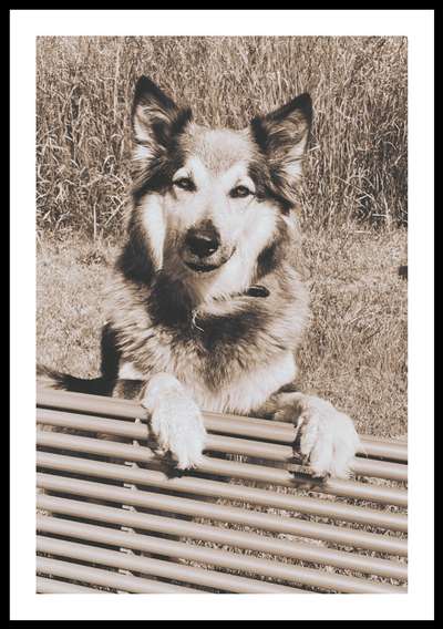 FarbenFoto - Challenge: Sepia-Beitrag-Bild