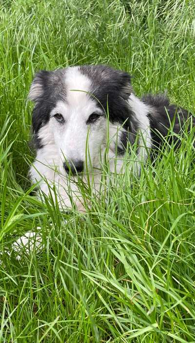 Foto Challenge Nr.135-Beitrag-Bild