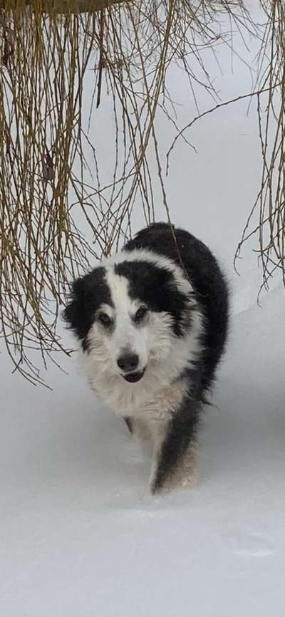 14. Farbenfoto-Challenge "Weiss"-Beitrag-Bild