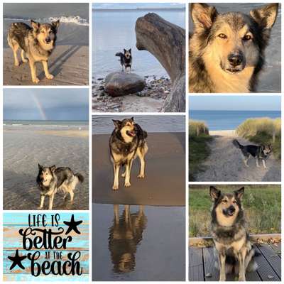 37. Collagen Challenge- Am Strand-Beitrag-Bild