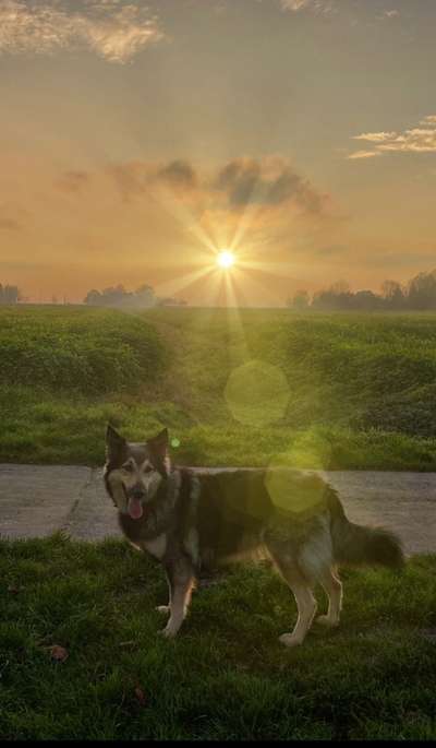 18. Farben Fotochallenge: Sonnenuntergang-Beitrag-Bild