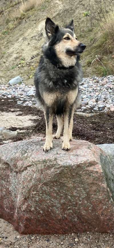 12. Farben Foto Challenge --- Braun-Beitrag-Bild