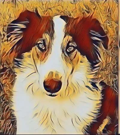 12. Farben Foto Challenge --- Braun-Beitrag-Bild