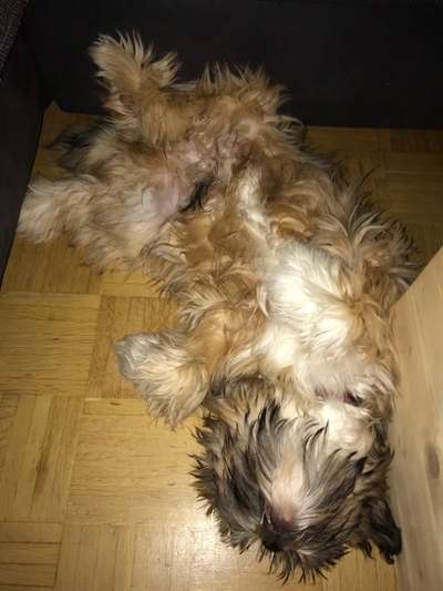 Die unbequemsten und lustigsten Schlafpositionen-Beitrag-Bild