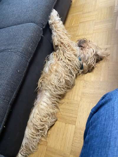 Die unbequemsten und lustigsten Schlafpositionen-Beitrag-Bild