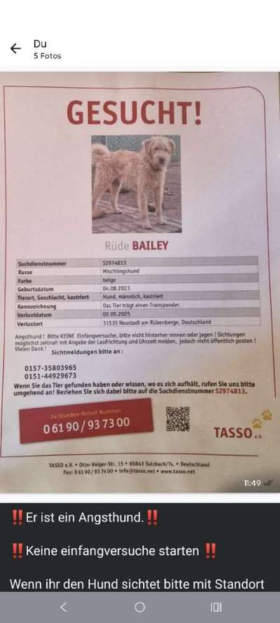 Suchmeldung-Bailey-Bild