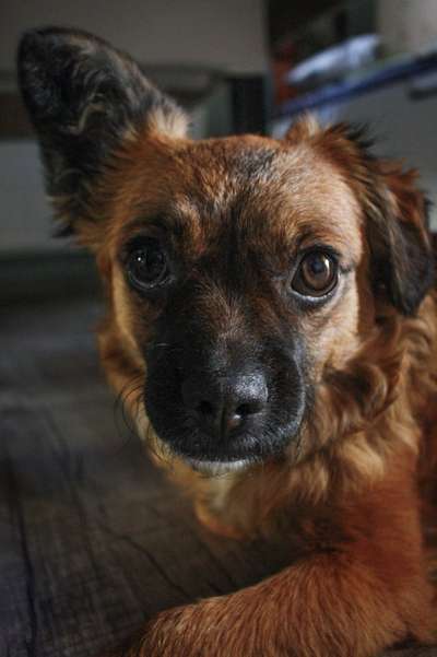 Austausch zur Fotografie-Beitrag-Bild