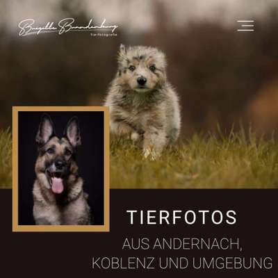 Tierfotografen-Brigitte Brandenburg Tierfotografie-Bild