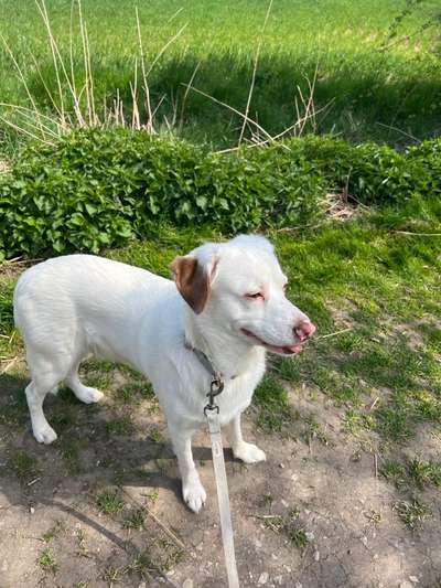 Lustige Grimassen & verrückte Posen-Beitrag-Bild