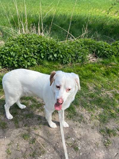 Lustige Grimassen & verrückte Posen-Beitrag-Bild