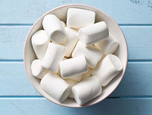 Wie heißt dein Hund?-Beitrag-Bild