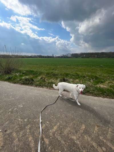 Lustige Grimassen & verrückte Posen-Beitrag-Bild