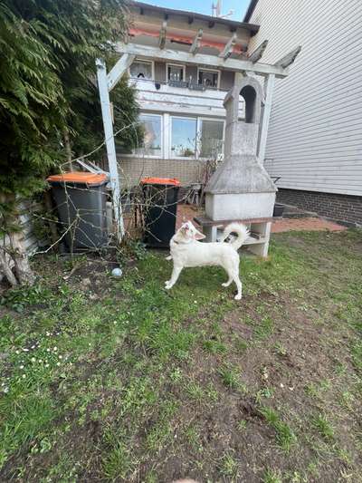 Lustige Grimassen & verrückte Posen-Beitrag-Bild