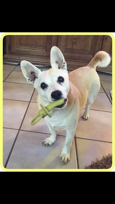 Fotochallenge Nr. 56 - geliebte Senioren-Beitrag-Bild