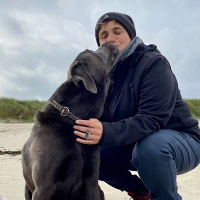 Hundetreffen-Gemeinsame Gassirunde