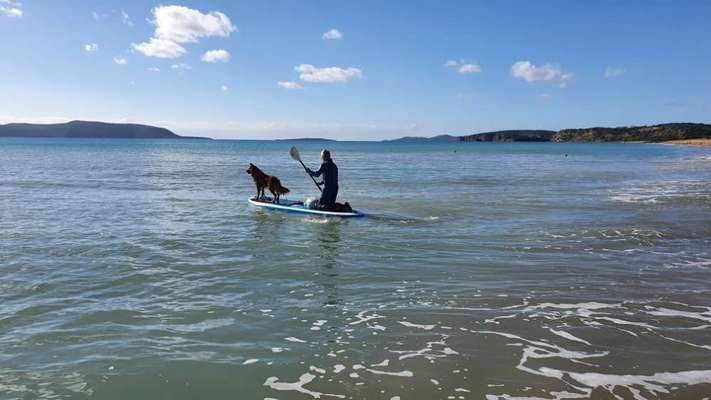 Was macht ihr am liebsten?-Beitrag-Bild