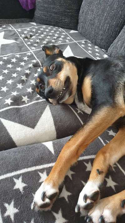 Fotochallange Nr. 6 Die irrsten Blicke-Beitrag-Bild