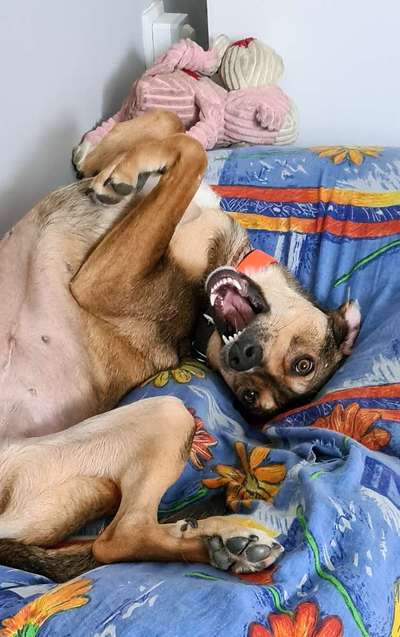 Fotochallange Nr. 6 Die irrsten Blicke-Beitrag-Bild