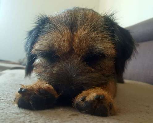 Lieblingsbild-Beitrag-Bild