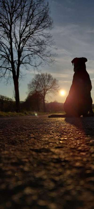 SonnenSTRAHLEN-Beitrag-Bild