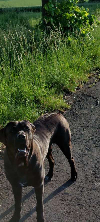 Zeigt her eure Kolosse!-Beitrag-Bild