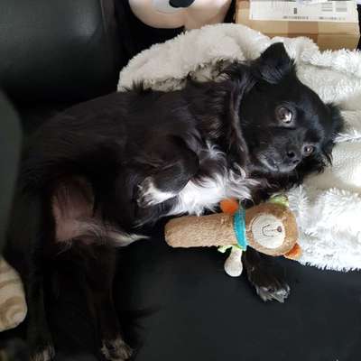 Gefährliche Spielzeuge-Beitrag-Bild