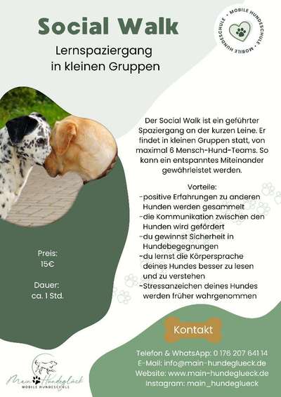 Giftköder-Social Walk-Bild