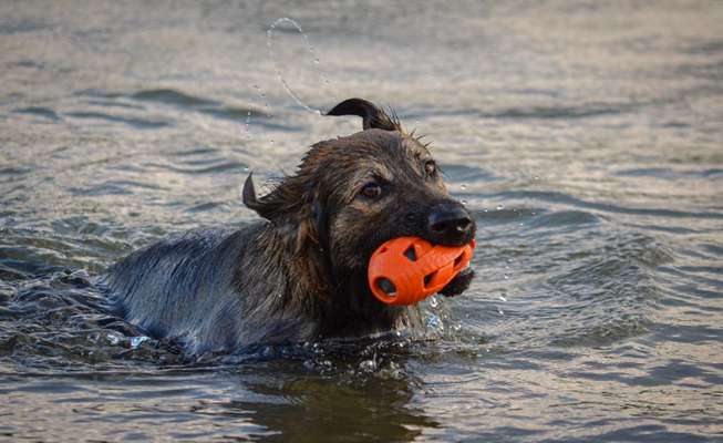 Zeigt eure schönsten Sommerbilder-Beitrag-Bild
