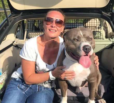 American Stafford Besitzer-Beitrag-Bild