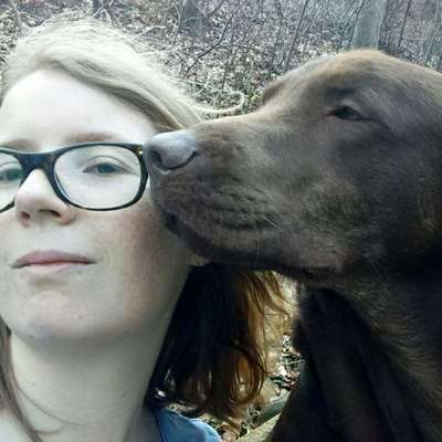 Hundetreffen-Gassirunde und eventuell Spielen-Profilbild