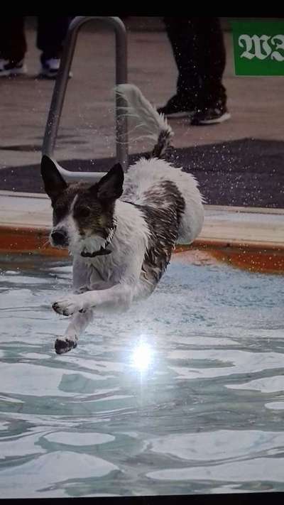 23. Collagen-Challenge: Portraits-Beitrag-Bild