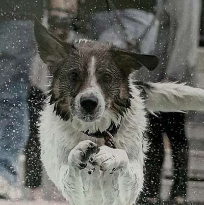 23. Collagen-Challenge: Portraits-Beitrag-Bild