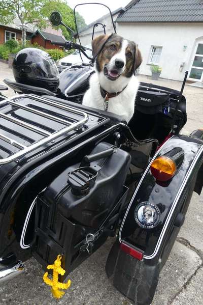 23. Collagen-Challenge: Portraits-Beitrag-Bild