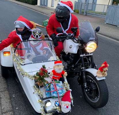 33. Handy Foto Challenge - Verkleidung deines Hundes-Beitrag-Bild