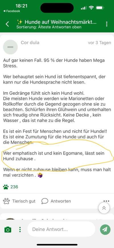 ✨ Hunde auf Weihnachtsmärkten – ja oder nein? ✨-Beitrag-Bild