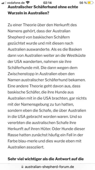 Alles rund um den Schäferhund, diskutieren erwünscht.-Beitrag-Bild