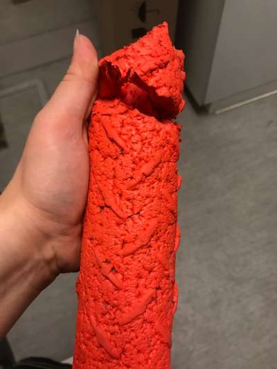 Alles rund um den Schäferhund, diskutieren erwünscht.-Beitrag-Bild