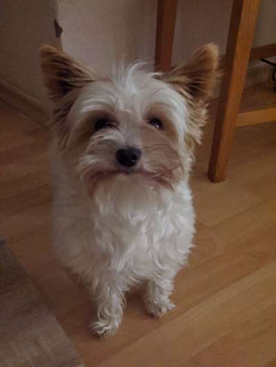 𝕋ℝ𝕀ℂ𝕂 ℂℍ𝔸𝕃𝕃𝔼ℕ𝔾𝔼 ℕℝ. 𝟚-Beitrag-Bild