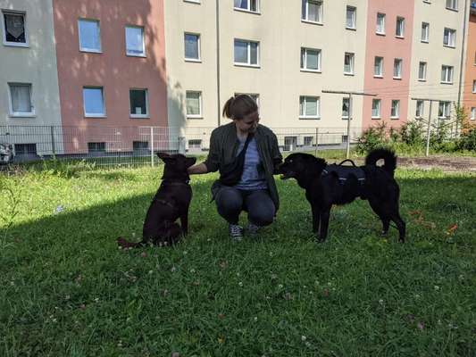 Erstes Bild-Beitrag-Bild