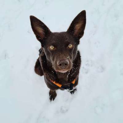 Zeigt mir eure Lieblingsfotos ♡♡-Beitrag-Bild