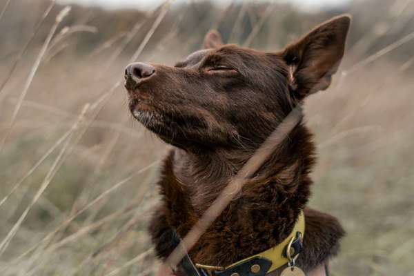 Austausch zur Fotografie-Beitrag-Bild