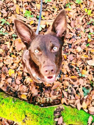 Fotochallange Nr. 57     PORTRÄT.   Beendet!!!!!!!!-Beitrag-Bild