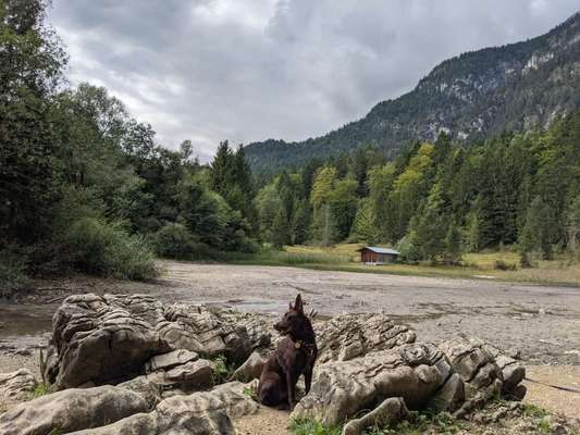 Dogorama Photo Challenge - Steine/Felsen-Beitrag-Bild