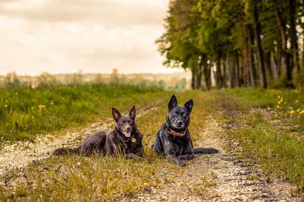 Austausch zur Fotografie-Beitrag-Bild
