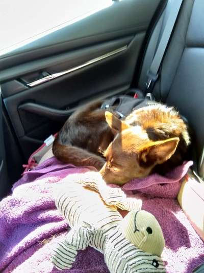 Erstes Bild-Beitrag-Bild