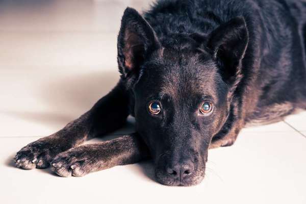 Austausch zur Fotografie-Beitrag-Bild