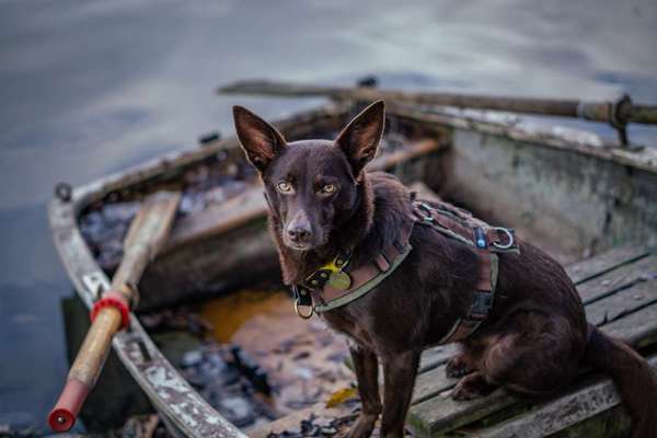 Austausch zur Fotografie-Beitrag-Bild