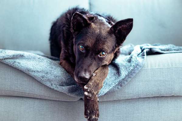 Austausch zur Fotografie-Beitrag-Bild