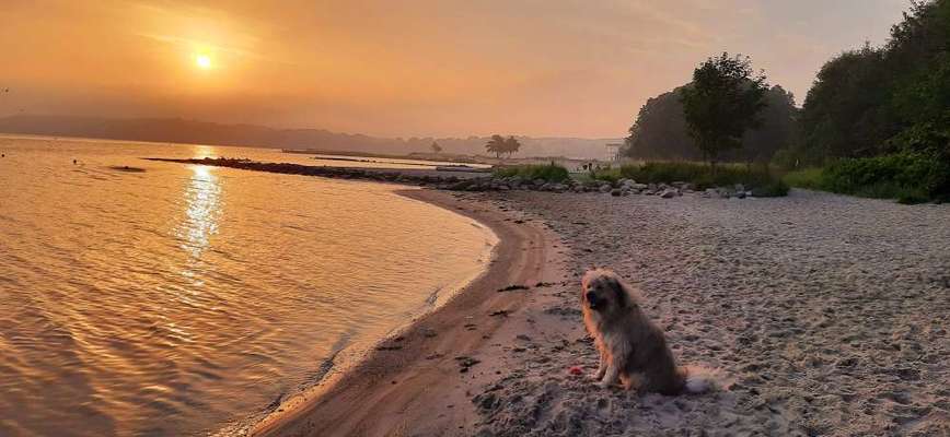 Sonnenaufgänge oder - untergänge-Beitrag-Bild