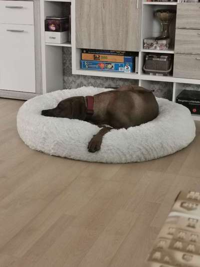 Erfahrung mit Wolkenbett-Beitrag-Bild